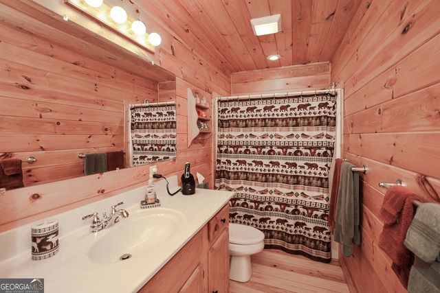 446 Pine Lane, Mineral Bluff, GA 30559