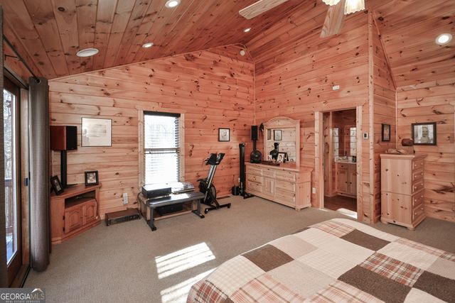 446 Pine Lane, Mineral Bluff, GA 30559