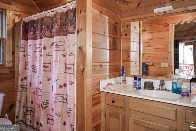 446 Pine Lane, Mineral Bluff, GA 30559