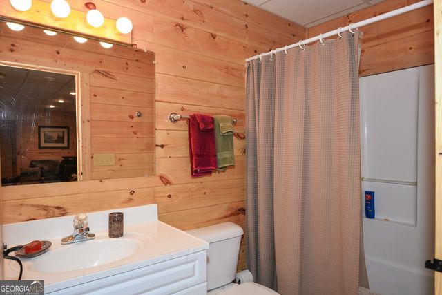 446 Pine Lane, Mineral Bluff, GA 30559