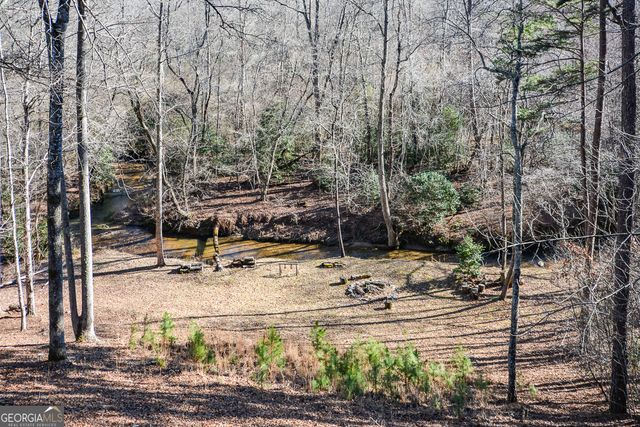 446 Pine Lane, Mineral Bluff, GA 30559