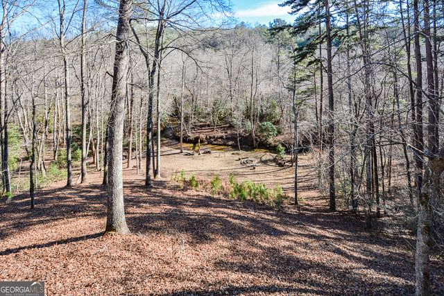 446 Pine Lane, Mineral Bluff, GA 30559