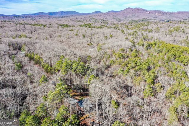446 Pine Lane, Mineral Bluff, GA 30559