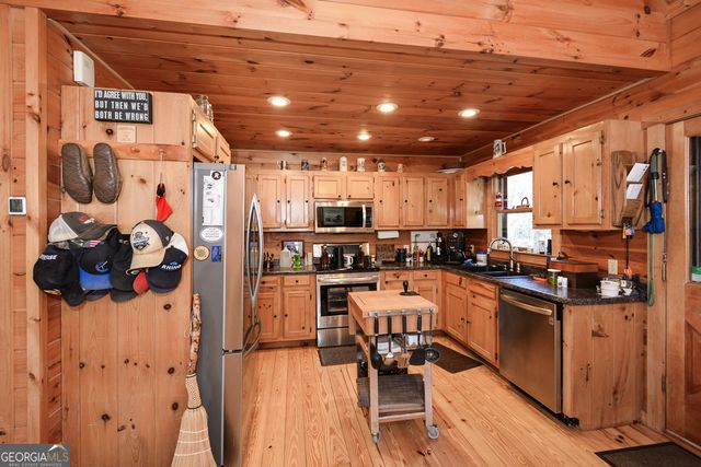 446 Pine Lane, Mineral Bluff, GA 30559