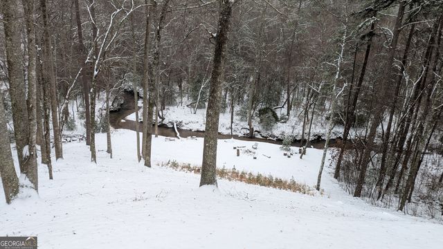 446 Pine Lane, Mineral Bluff, GA 30559