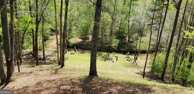 446 Pine Lane, Mineral Bluff, GA 30559