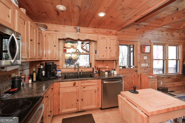 446 Pine Lane, Mineral Bluff, GA 30559