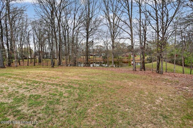 4669 Dixie Lynn Drive, Southaven, MS 38671