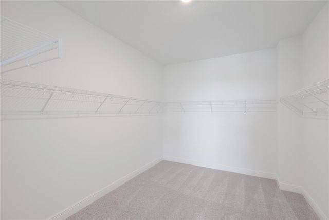 8924 DEEP HORIZON LOOP, Parrish, FL 34219