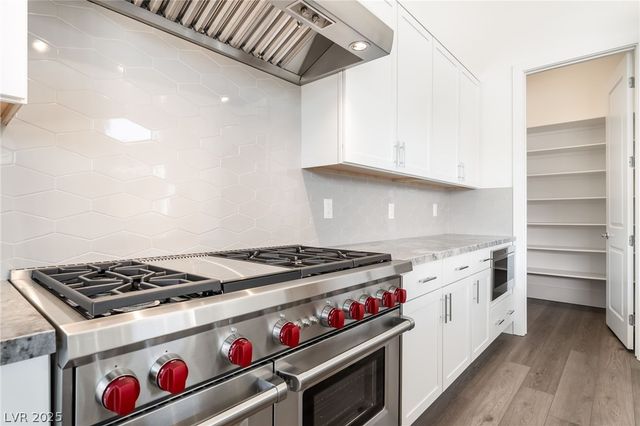 205 Dolce Viale Court, Henderson, NV 89011