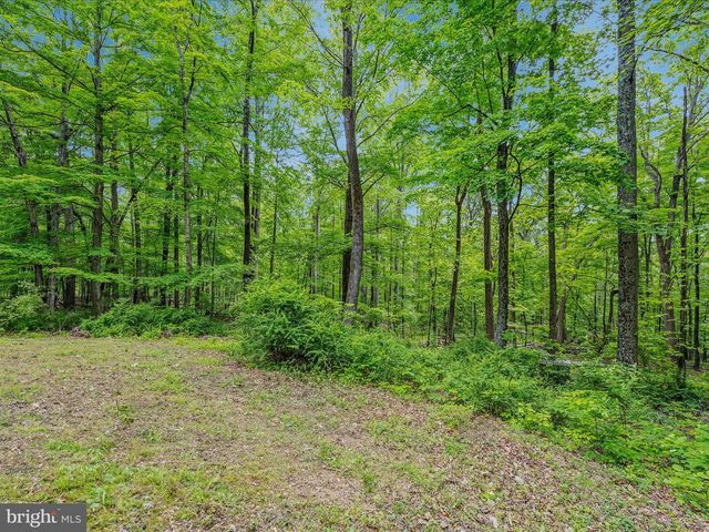 17 MOUNTAINSIDE LOOP, Berkeley Springs, WV 25411