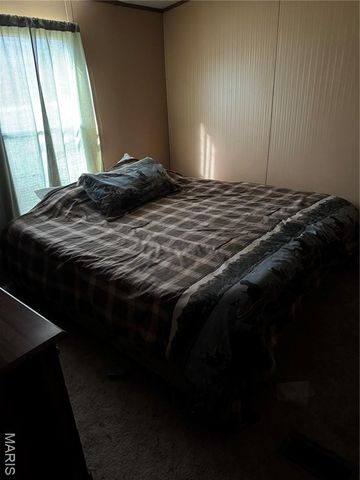 240 Wayne 512, Wappapello, MO 63966