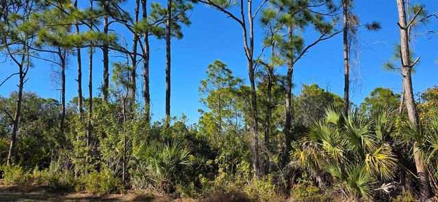 12054 KELLER AVENUE, Port Charlotte, FL 33981