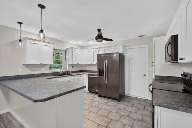 3000 LAUREL DRIVE, Mount Dora, FL 32757