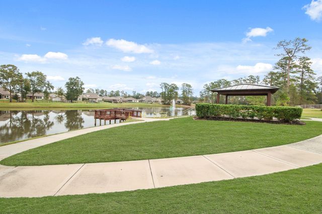 114 Alset Circle, Magnolia, TX 77354