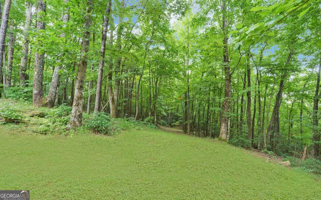 1055 Wolfpen Trail, Ellijay, GA 30536