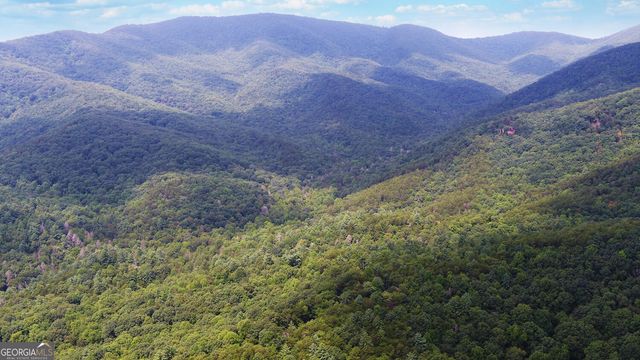 1055 Wolfpen Trail, Ellijay, GA 30536