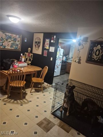 699 Irving Park Boulevard, Sheffield Lake, OH 44054