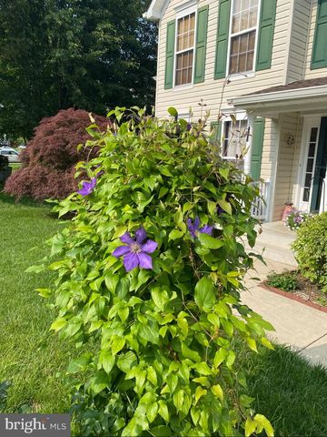 2425 WOODLAND CT, Chesapeake Beach, MD 20732