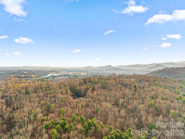 10 Overlook Place, Asheville, NC 28803