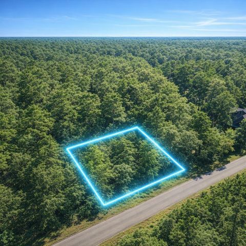 TBD Inscription, Huntsville, TX 77340