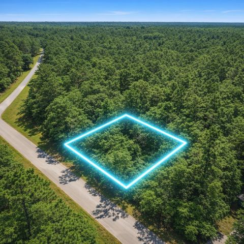 TBD Inscription, Huntsville, TX 77340