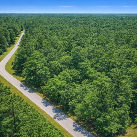 TBD Inscription, Huntsville, TX 77340