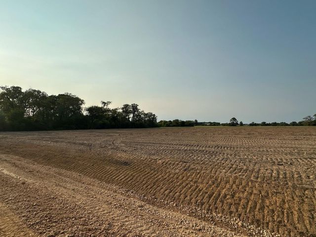 TBD LOT 12 County Road 201, Plantersville, TX 77363
