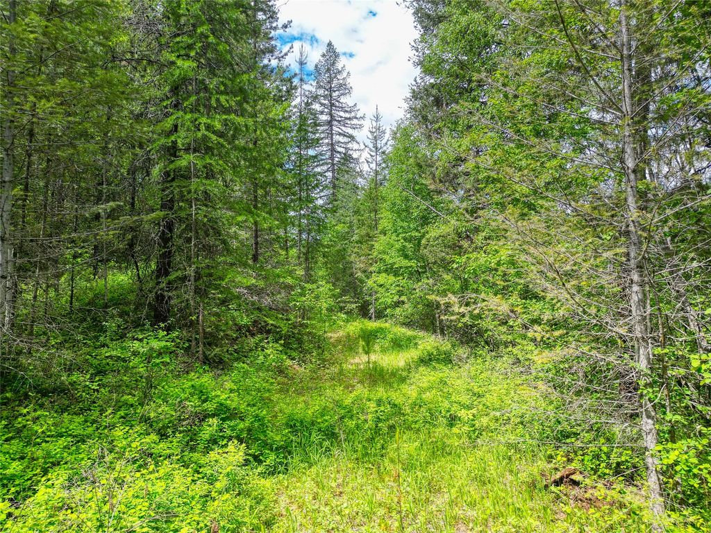 11315 US Highway 2 E, West Glacier, MT 59936 photo 2