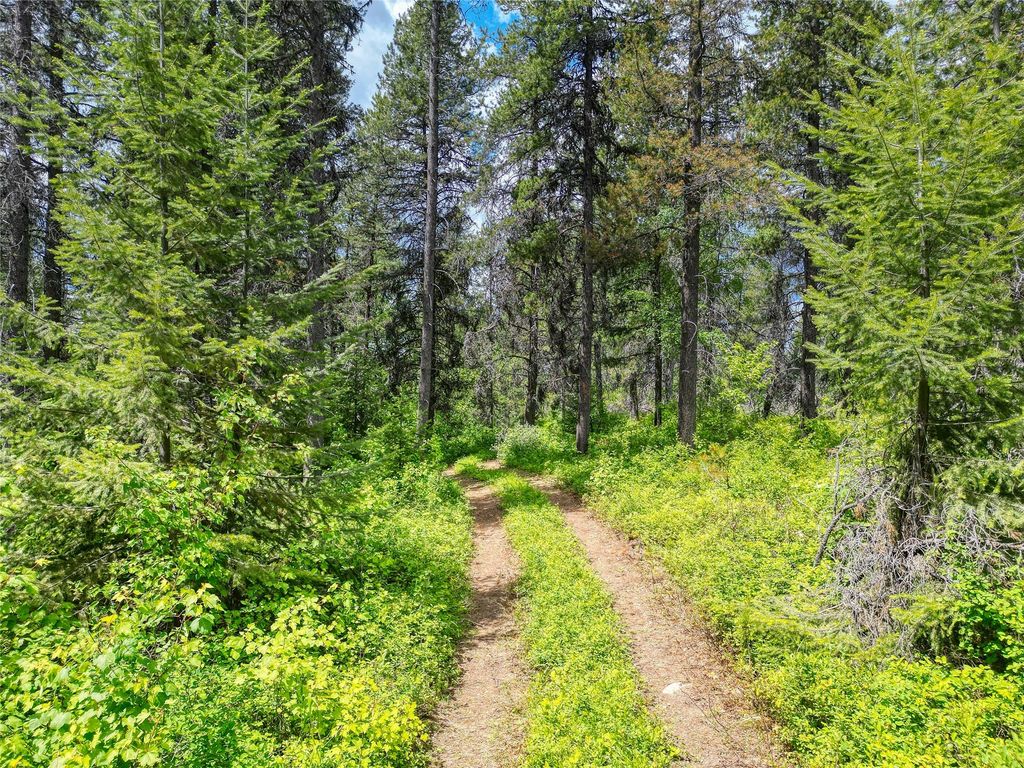 11315 US Highway 2 E, West Glacier, MT 59936 photo 30