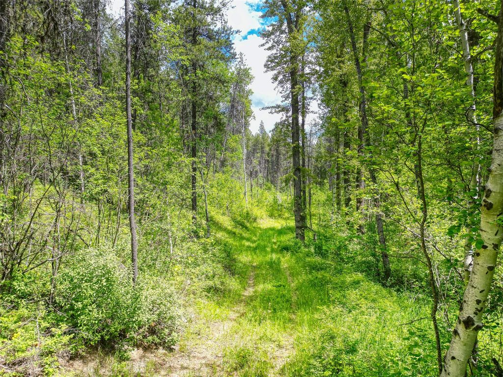 11315 US Highway 2 E, West Glacier, MT 59936 photo 41