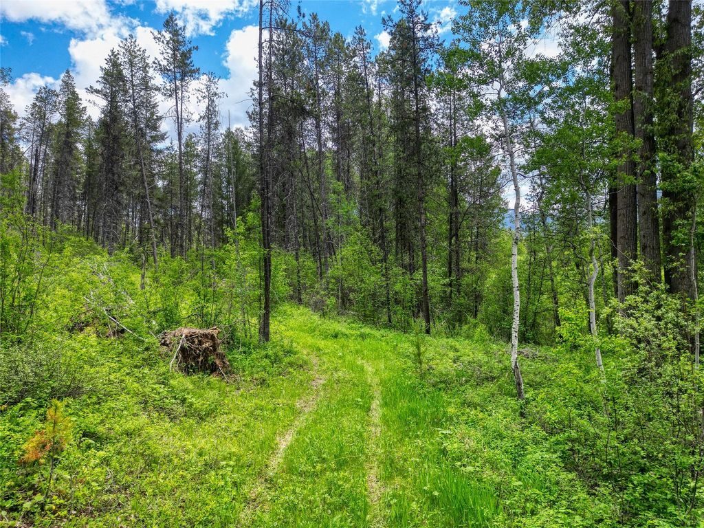 11315 US Highway 2 E, West Glacier, MT 59936 photo 43