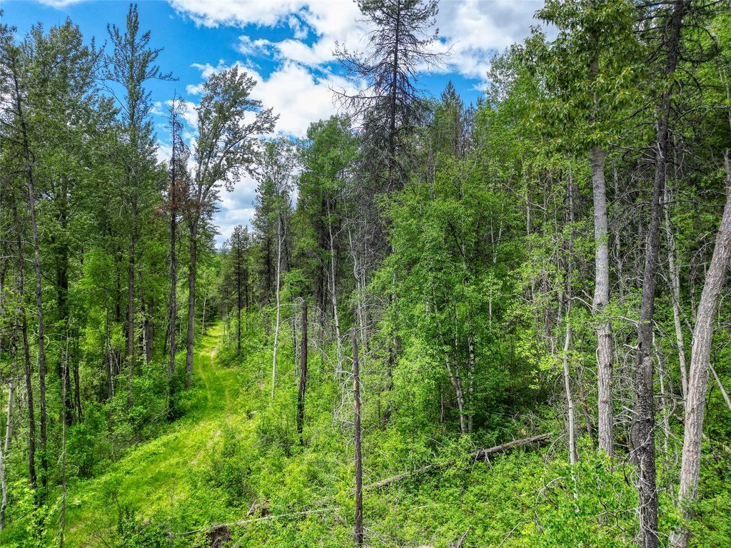 11315 US Highway 2 E, West Glacier, MT 59936 photo 45