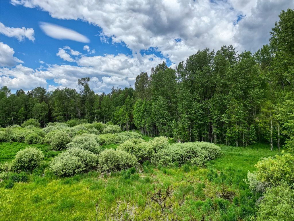 11315 US Highway 2 E, West Glacier, MT 59936 photo 51