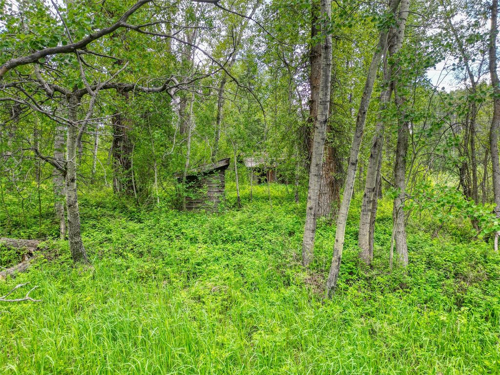 11315 US Highway 2 E, West Glacier, MT 59936 photo 54