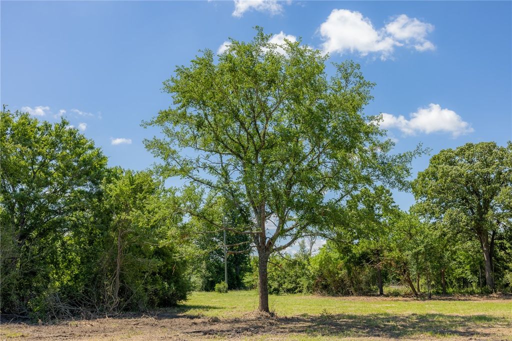 6512 Atakapan Trail, Bedias, TX 77831 — photo 2