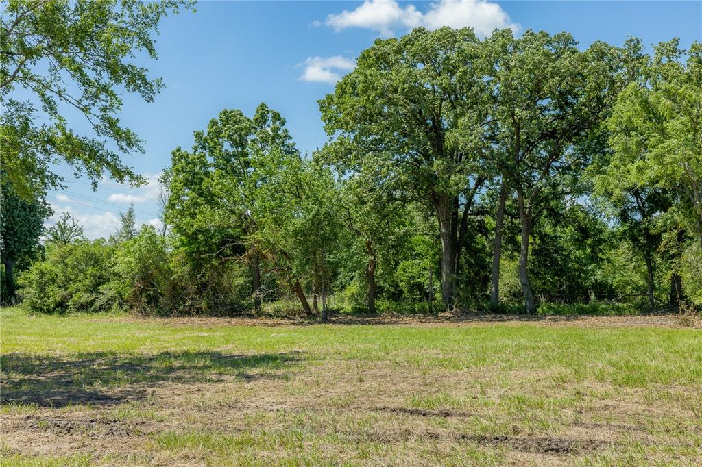6512 Atakapan Trail, Bedias, TX 77831 — photo 3