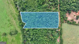 LOT #1 Morris Trail, Carnesville, GA 30521