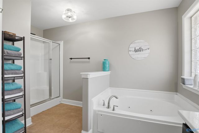 24614 Silent Spring Drive, Athens, AL 35613