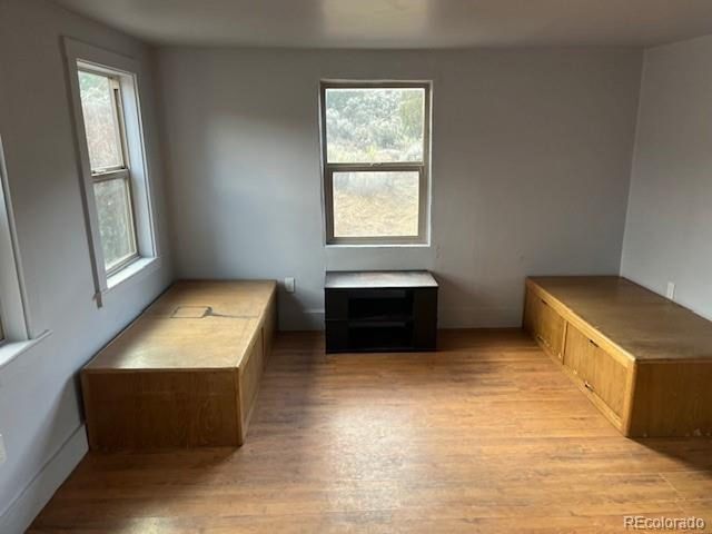 7541 Indian Creek Rd, Fort Garland, CO 81133