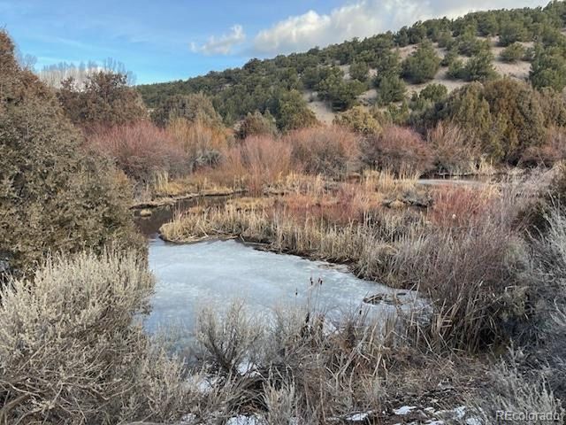 7541 Indian Creek Rd, Fort Garland, CO 81133