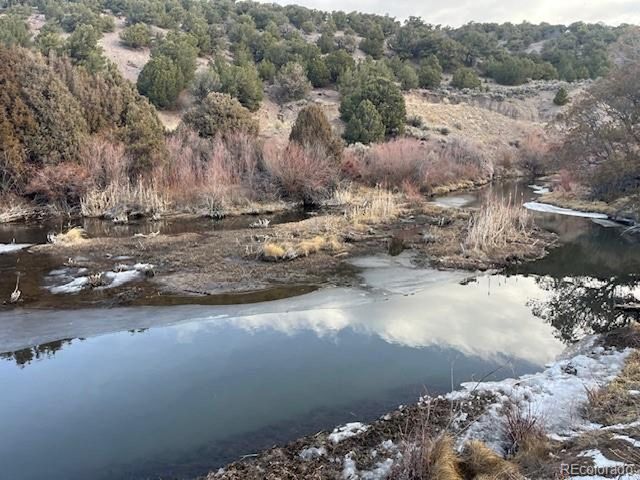 7541 Indian Creek Rd, Fort Garland, CO 81133