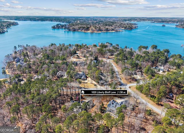 1020 Liberty Bluff Lane, Greensboro, GA 30642