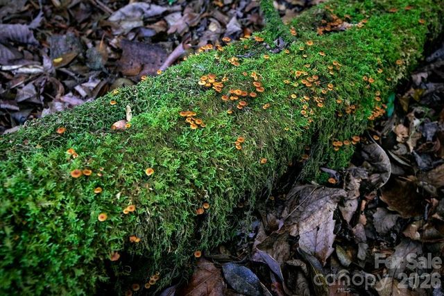 1571 Eagle Lake Drive 153, Brevard, NC 28712