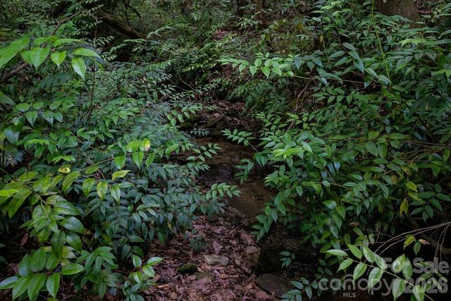 1571 Eagle Lake Drive 153, Brevard, NC 28712