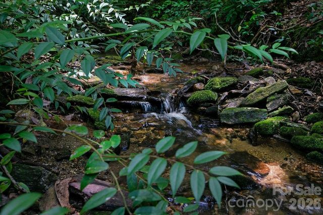 1571 Eagle Lake Drive 153, Brevard, NC 28712