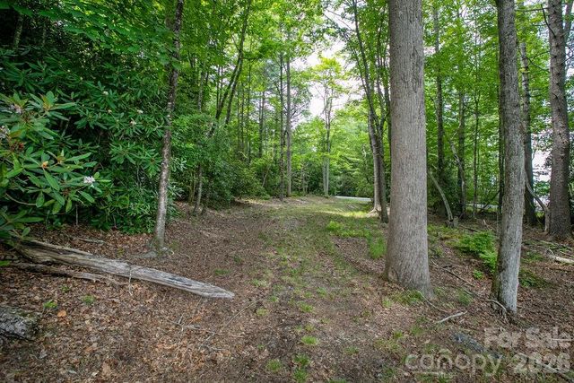 1571 Eagle Lake Drive 153, Brevard, NC 28712