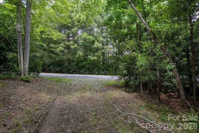 1571 Eagle Lake Drive 153, Brevard, NC 28712