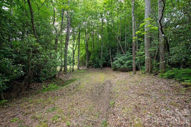 1571 Eagle Lake Drive 153, Brevard, NC 28712