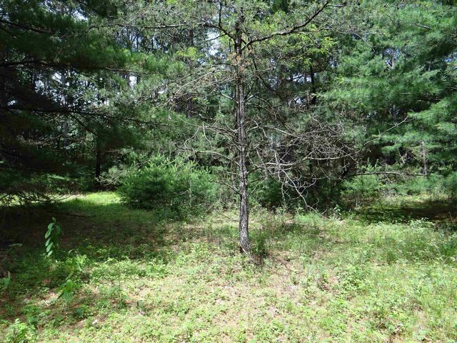 N1771 COUNTY RD EE, Redgranite, WI 54970